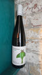 Lighthall Pinot Gris 2025